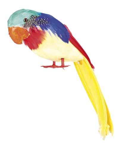 Perroquet 