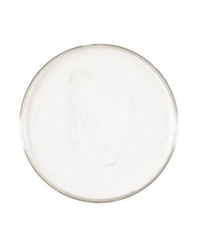 Maquillage Professionnelle 25gr Blanc