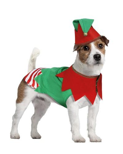 Costume d’elfe de Noël pour chien – Avec chapeau et tenue complète