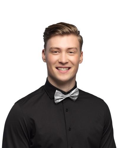 Nœud papillon Glitter argent