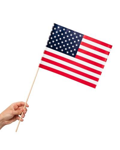 Lot de 20 drapeaux USA avec bâton supporters