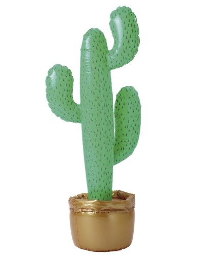 Cactus gonflable