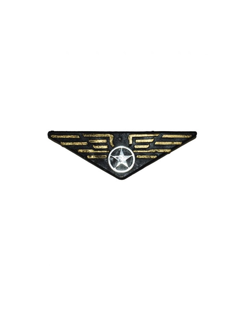 Badge pilote