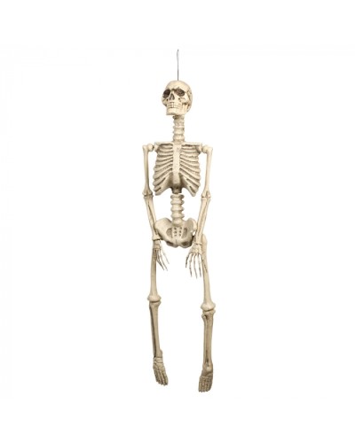 Squelette à Suspendre 92cm