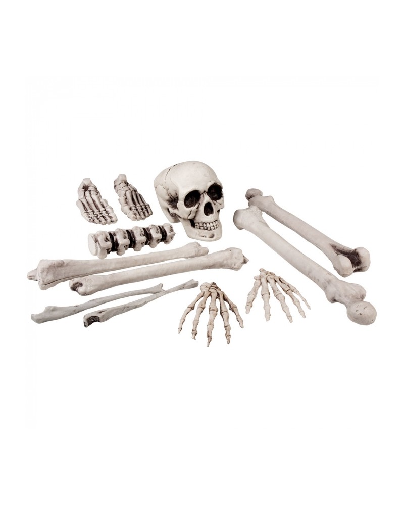 Set Squelette en Morceaux 12pcs