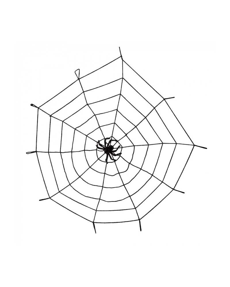 Toile d'Araignée Elastique 150cm avec Araignée