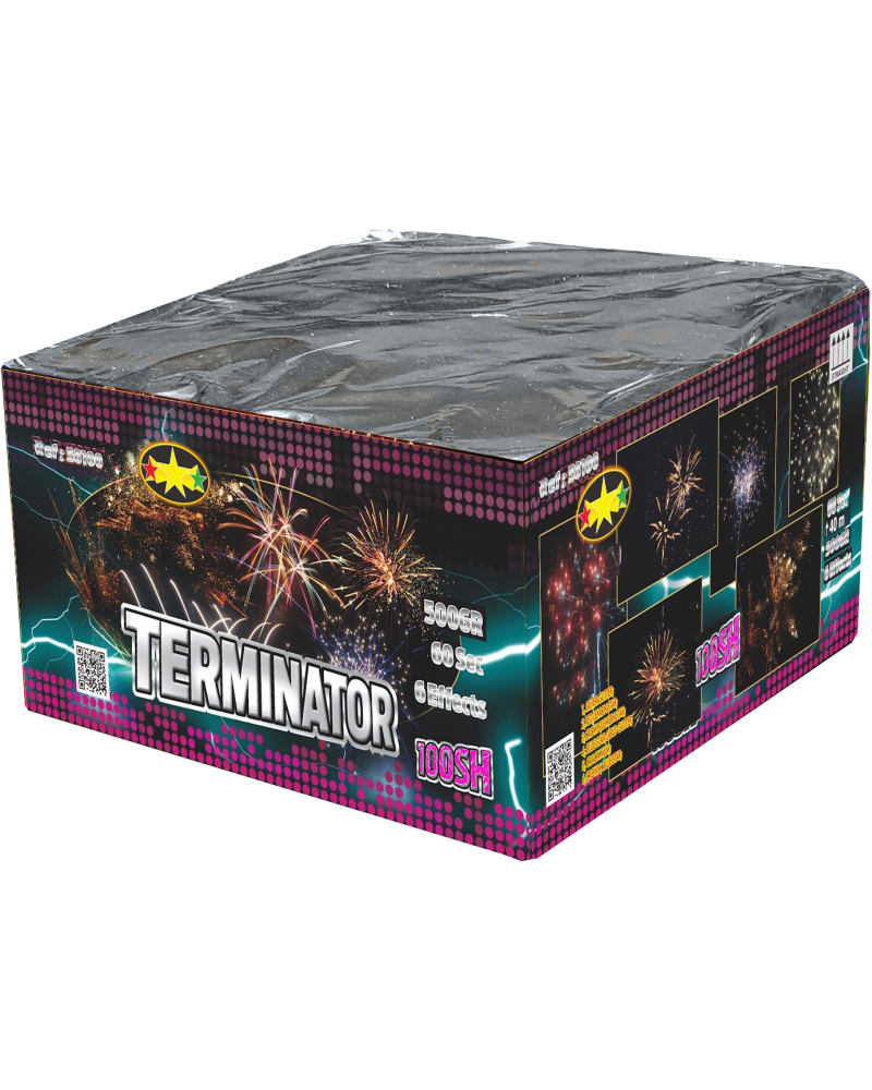 Terminator Batterie