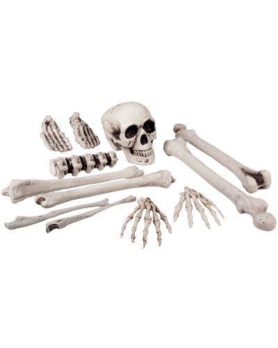 12 pièces Tête de mort et os (40 cm)