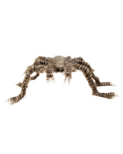 Araignée velue (50 x 70 cm)