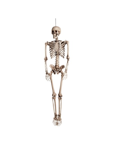 Décoration suspendue Squelette (160 cm)